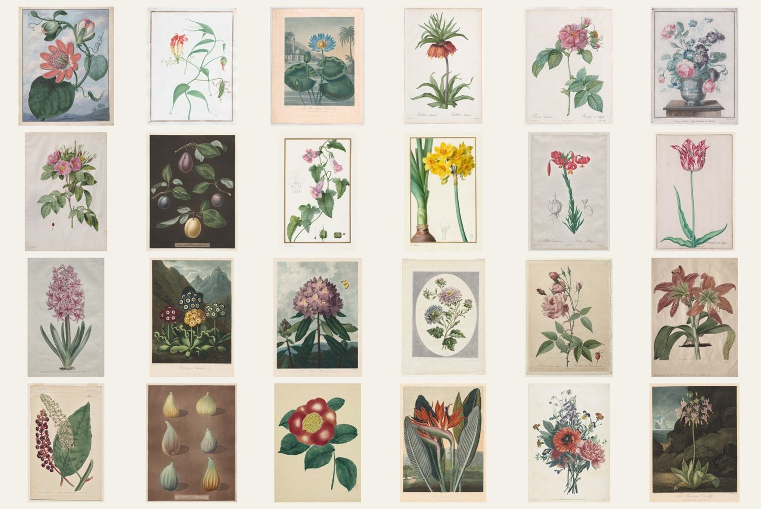 Preview of Gallery Bundle: all four Art Print sets (96 prints)