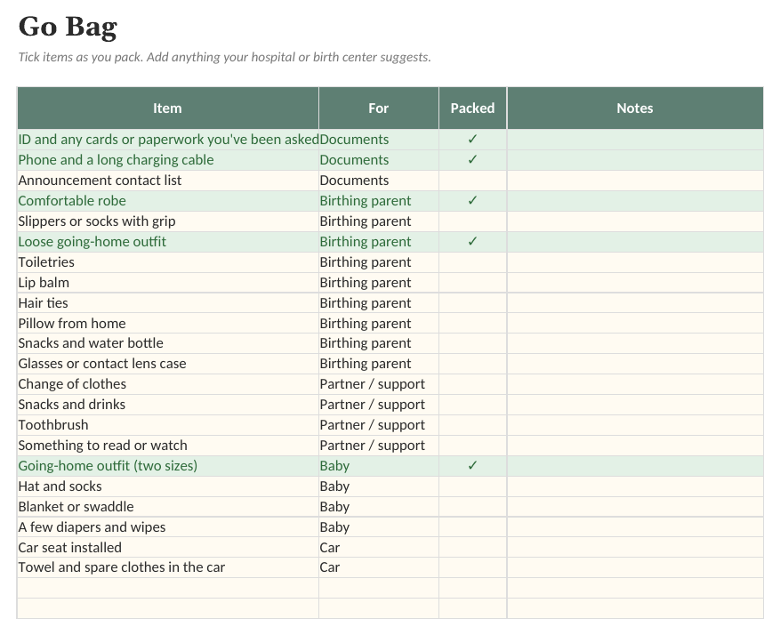 The New Baby Planner: Go Bag